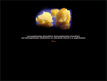 Tablet Screenshot of amphetamines.org